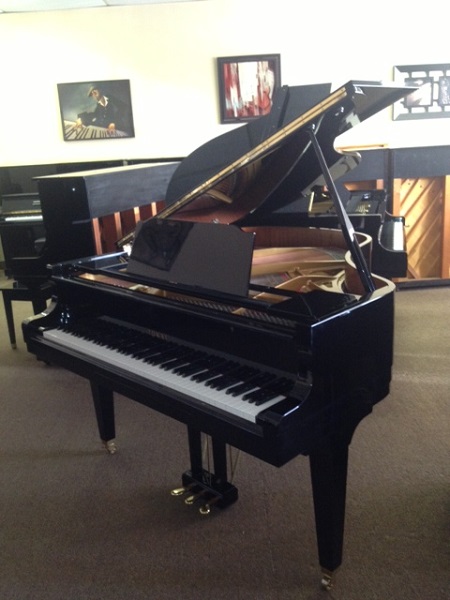 Tokai baby best sale grand piano